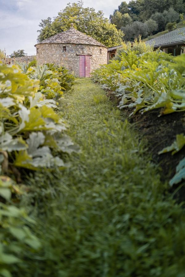 Villa Agriturismo La Derta à Bellagio Extérieur photo